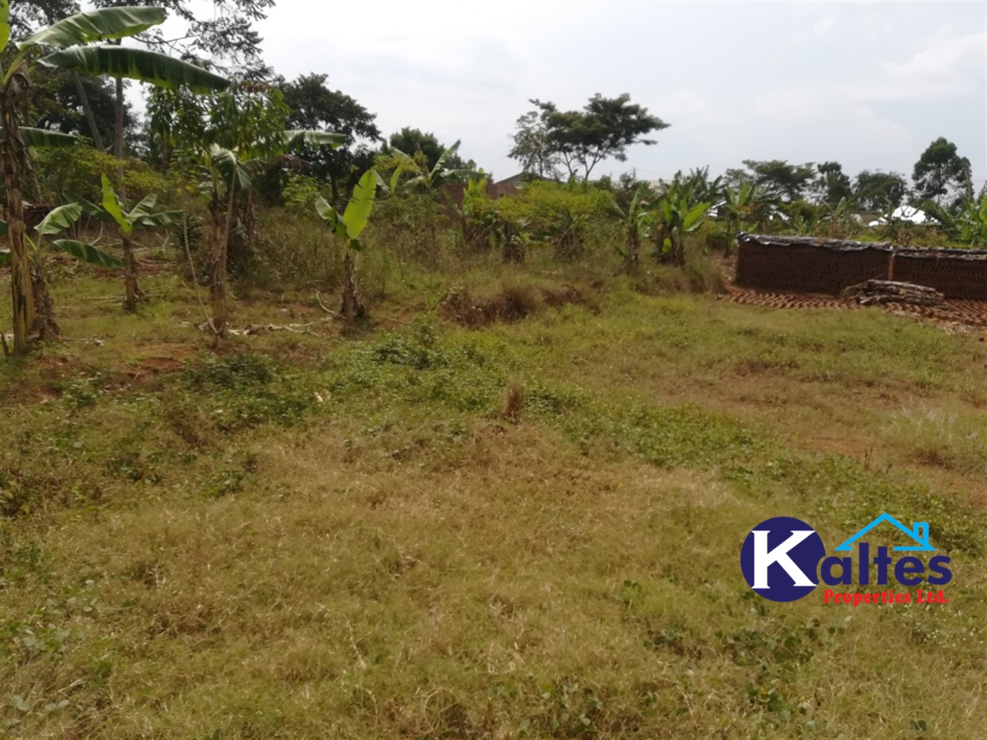 Residential Land for sale in Naama Mukono