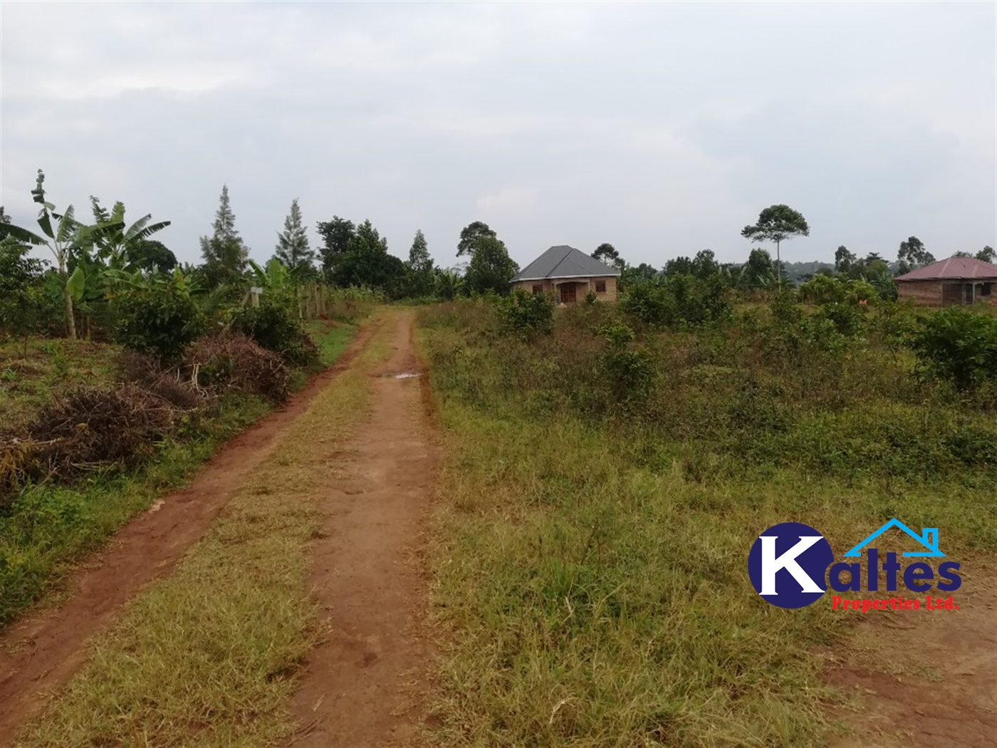 Residential Land for sale in Naama Mukono