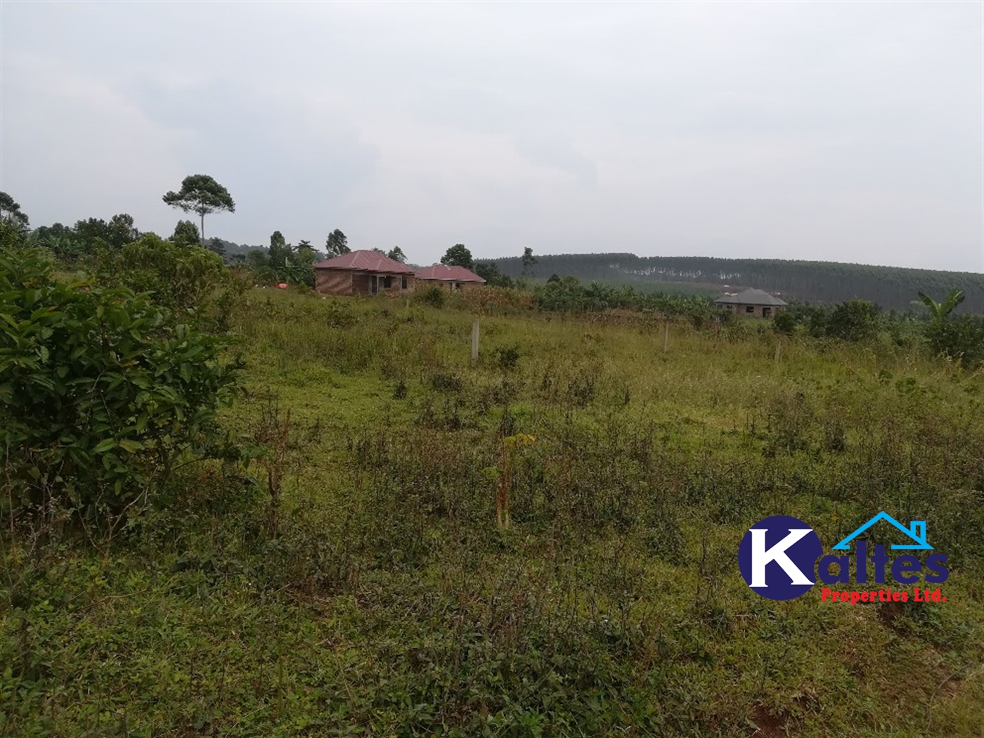 Residential Land for sale in Naama Mukono