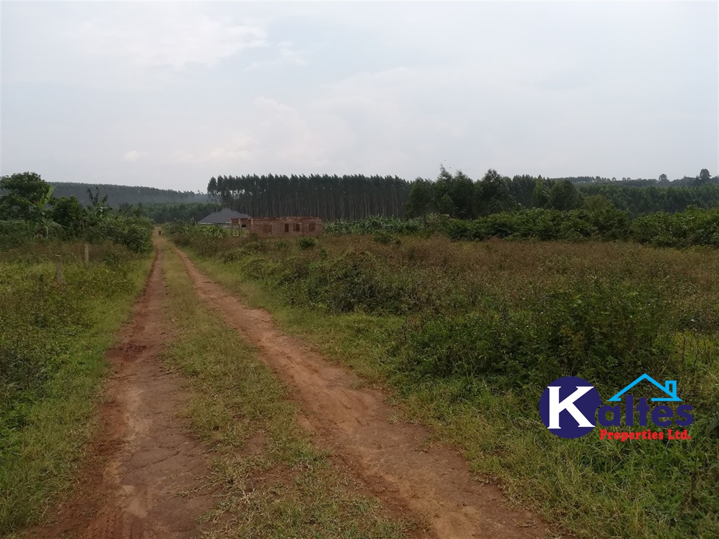 Residential Land for sale in Kisowela Mukono