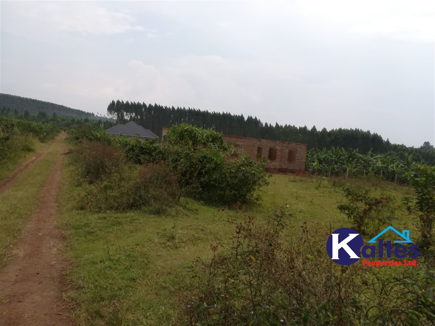 Residential Land for sale in Kisowela Mukono