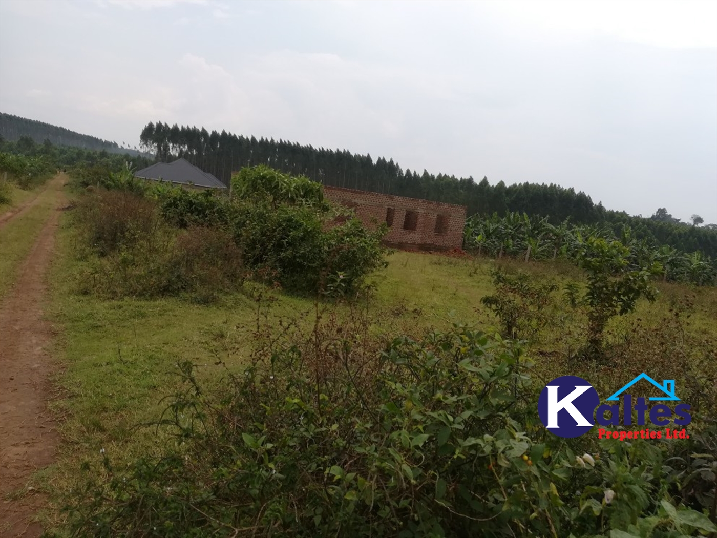 Residential Land for sale in Kisowela Mukono