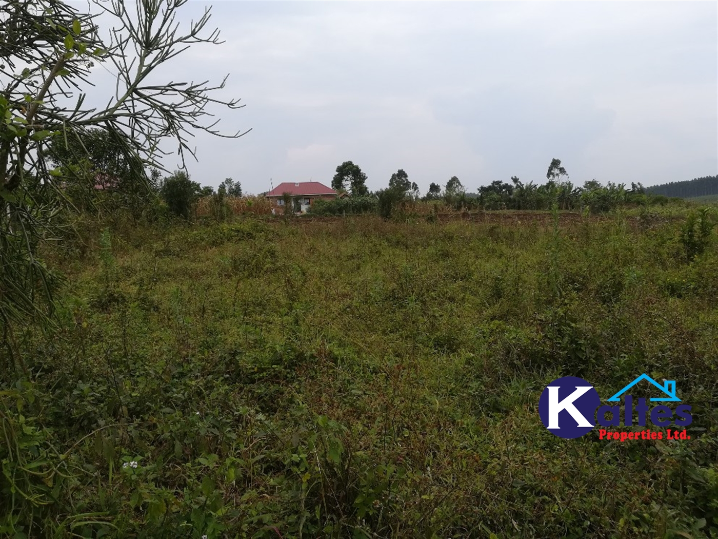 Residential Land for sale in Kisowela Mukono