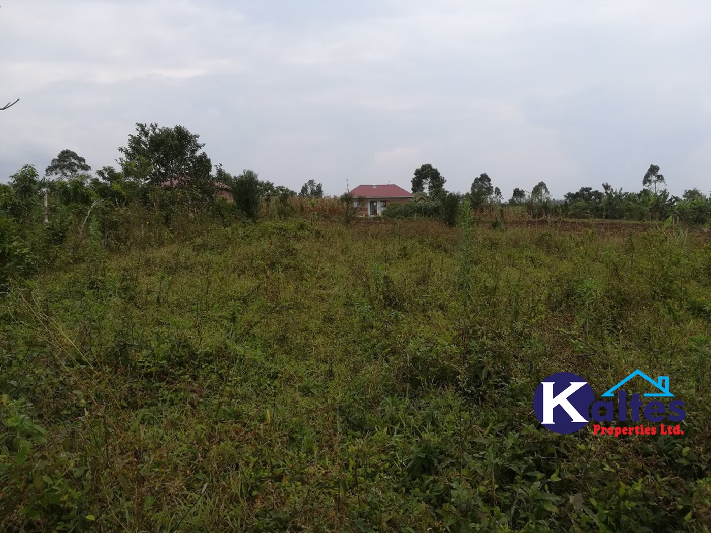 Residential Land for sale in Kisowela Mukono