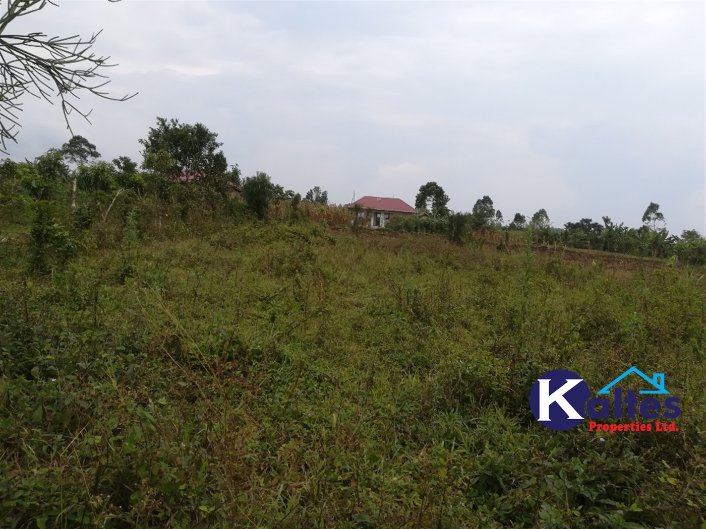 Residential Land for sale in Kisowela Mukono