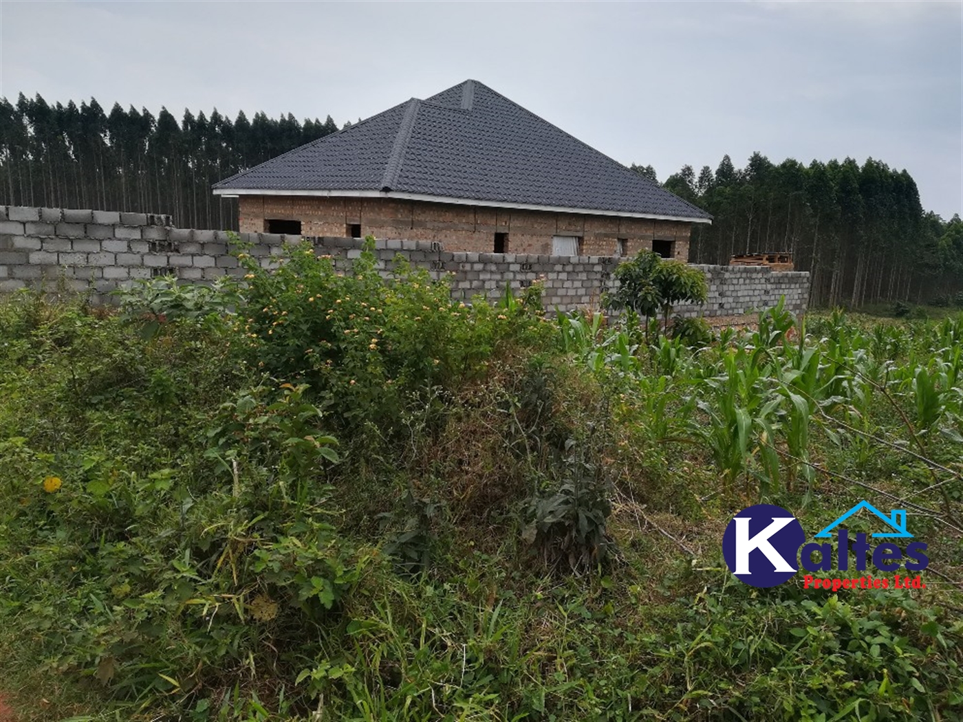 Residential Land for sale in Kisowela Mukono