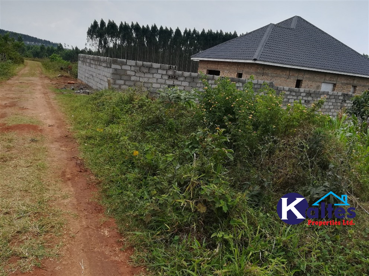 Residential Land for sale in Kisowela Mukono