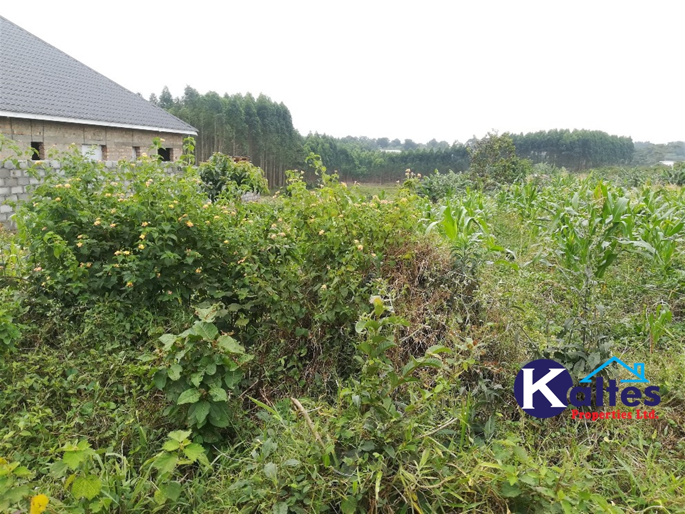 Residential Land for sale in Kisowela Mukono