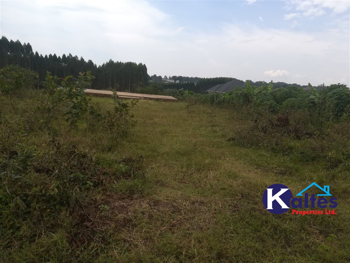 Residential Land for sale in Kisowela Mukono