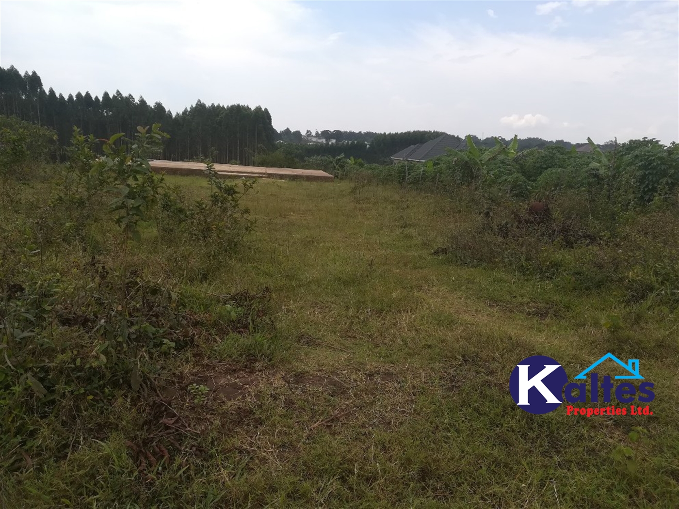 Residential Land for sale in Kisowela Mukono