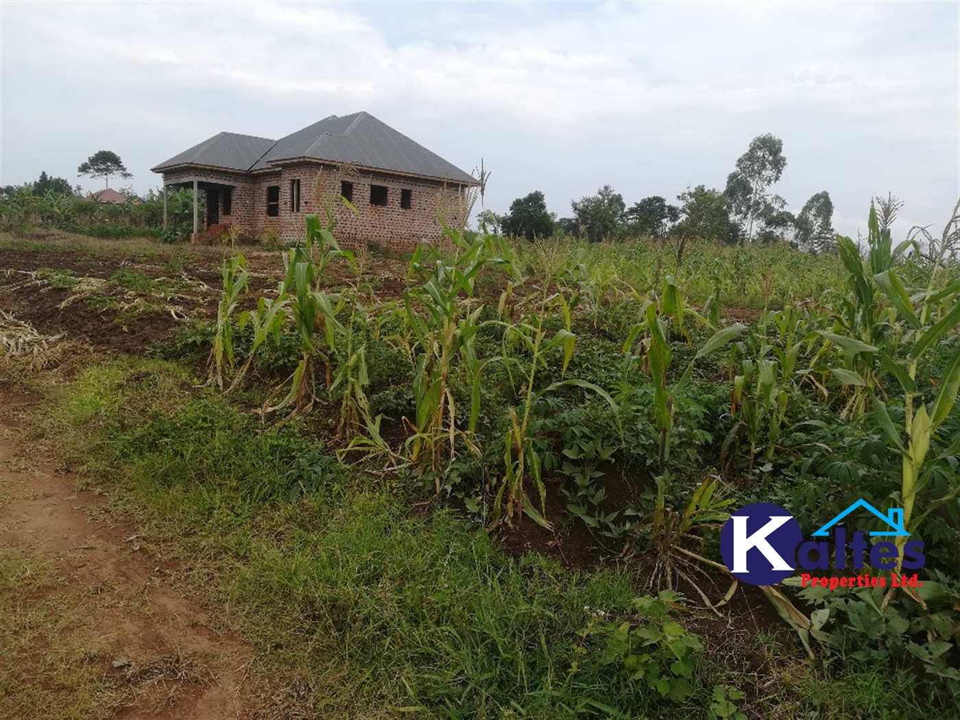 Residential Land for sale in Kisowela Mukono