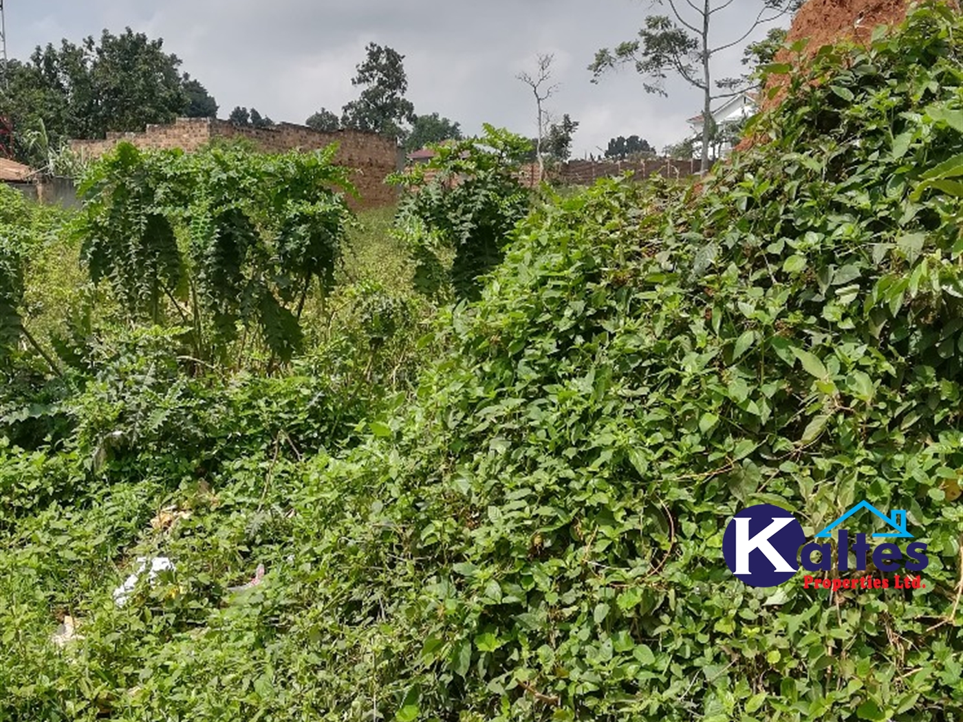 Residential Land for sale in Nakisunga Mukono