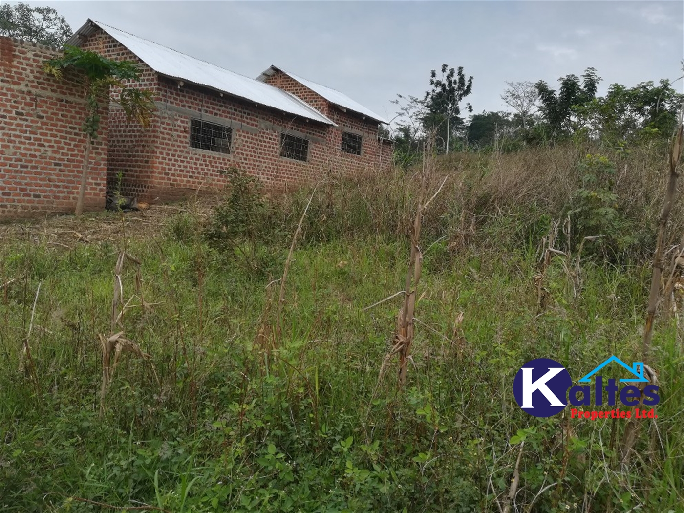 Residential Land for sale in Nakisunga Mukono