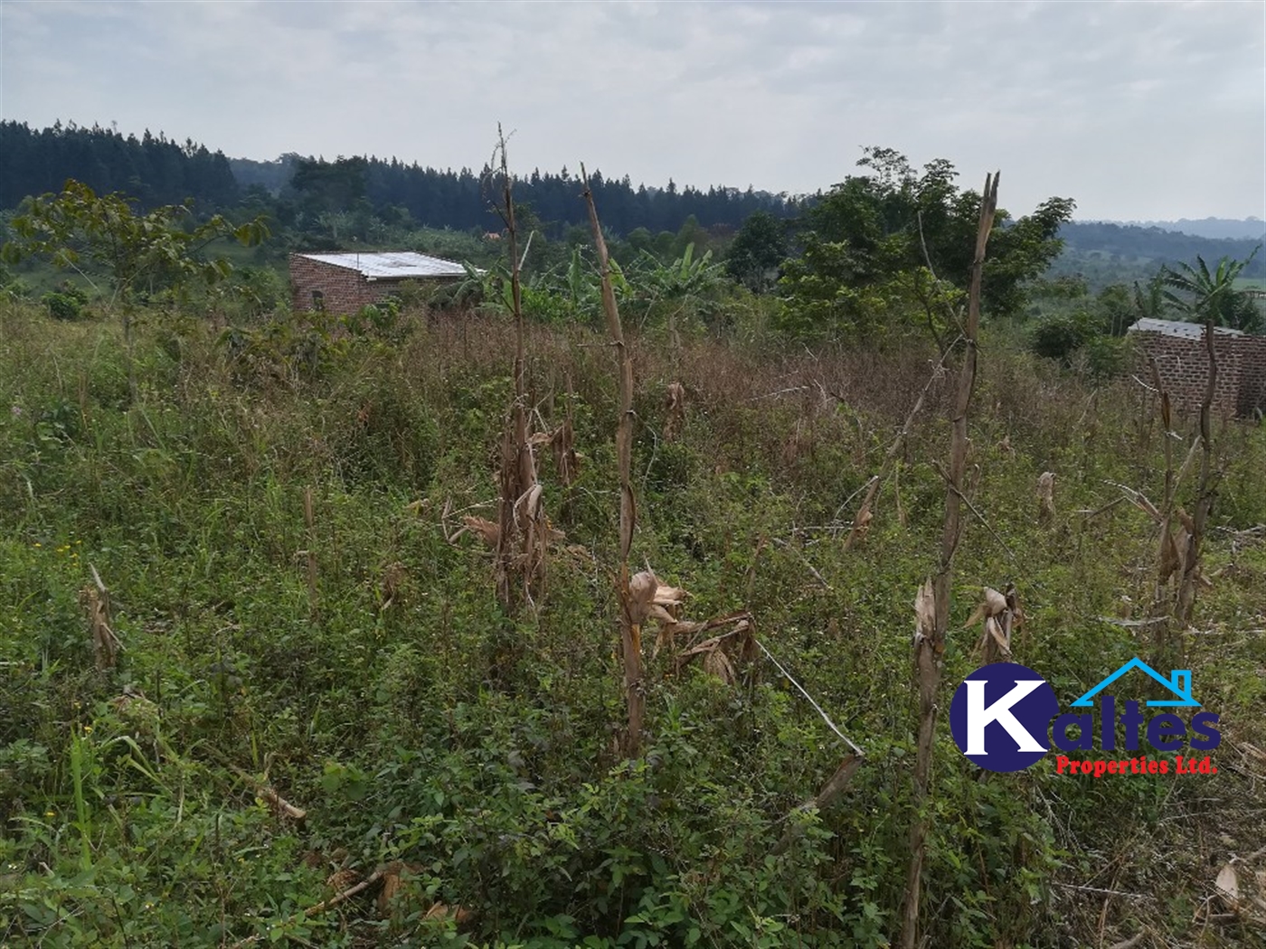 Residential Land for sale in Nakisunga Mukono