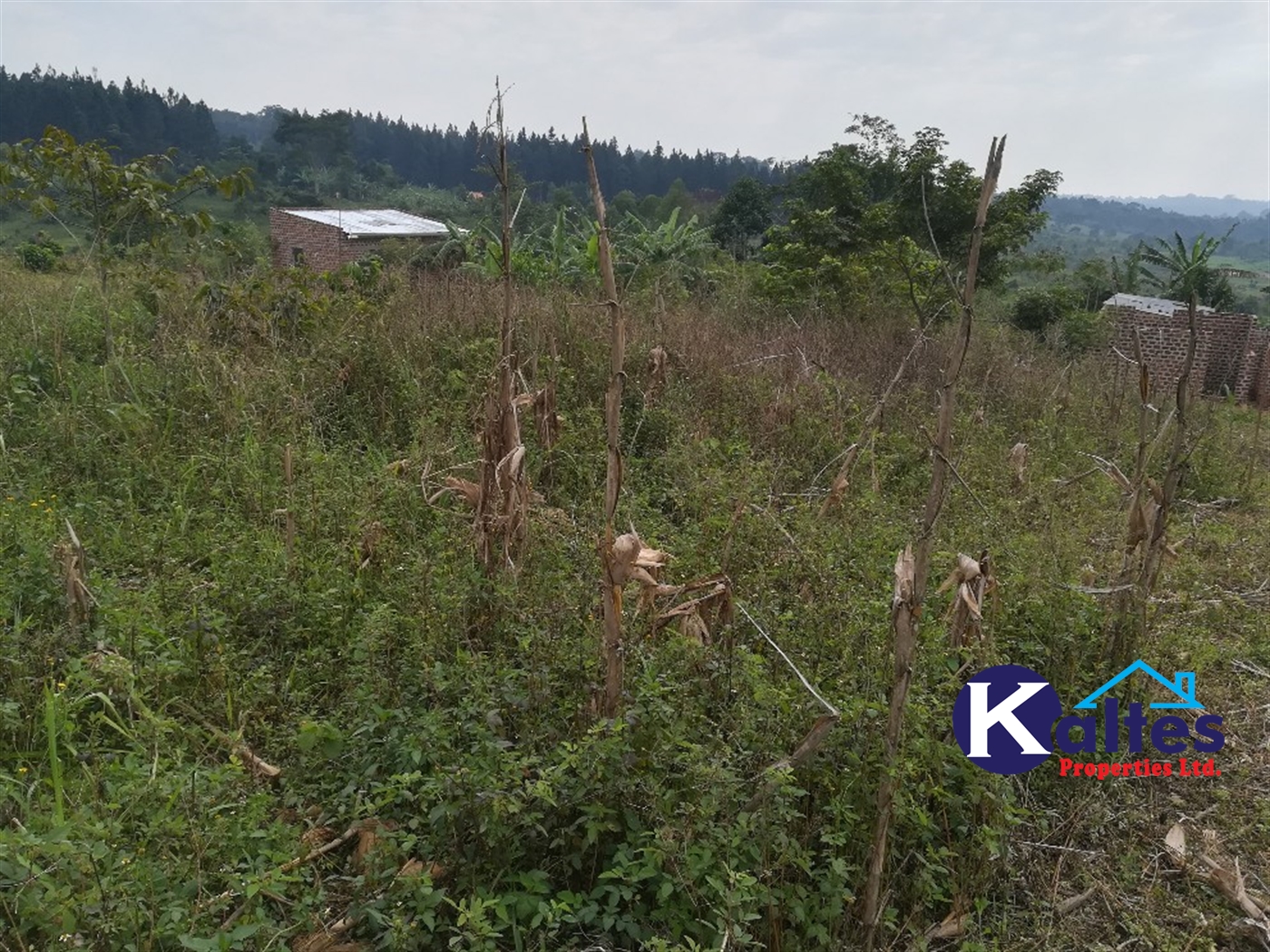 Residential Land for sale in Nakisunga Mukono