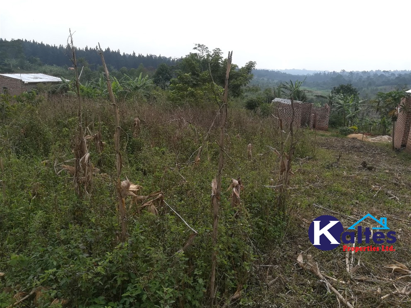 Residential Land for sale in Nakisunga Mukono