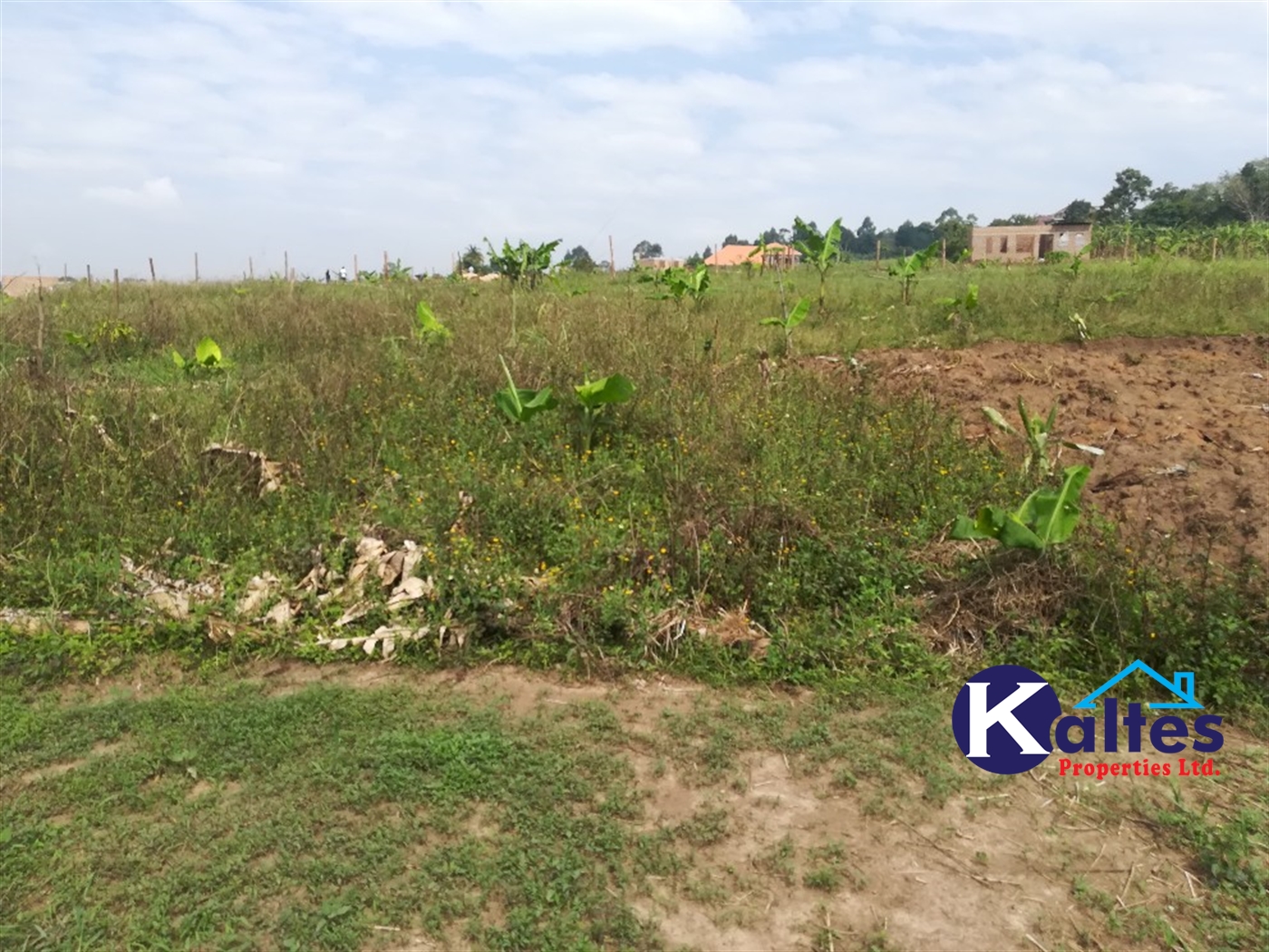 Residential Land for sale in Nakisunga Mukono