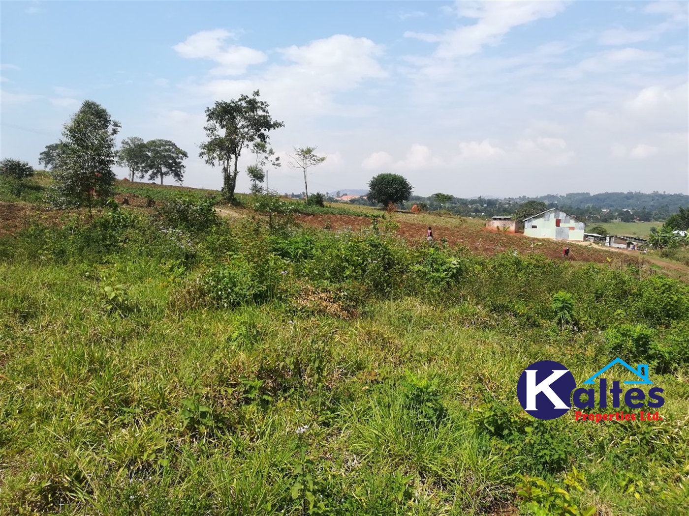 Residential Land for sale in Nakisunga Mukono