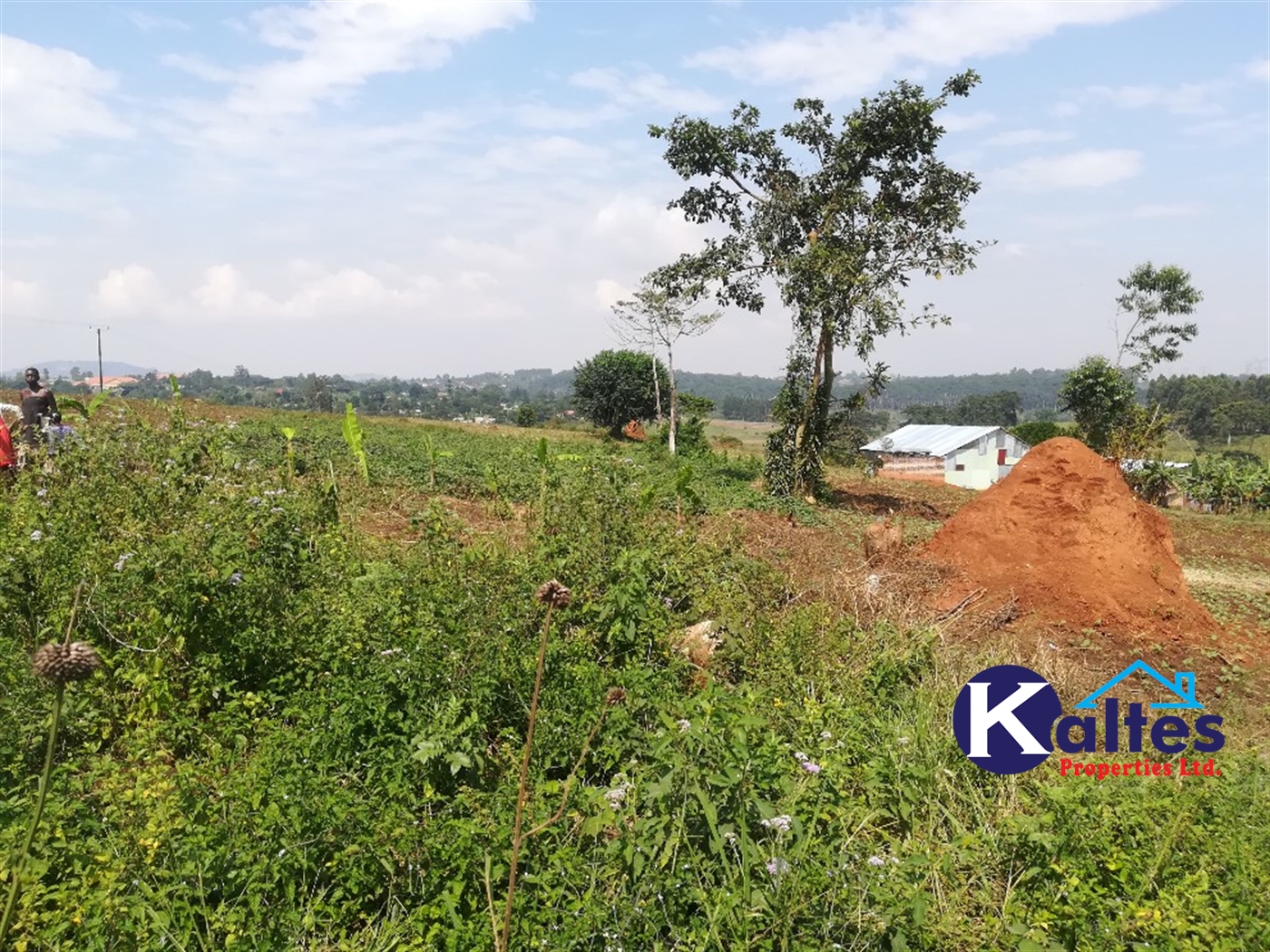 Residential Land for sale in Nakisunga Mukono