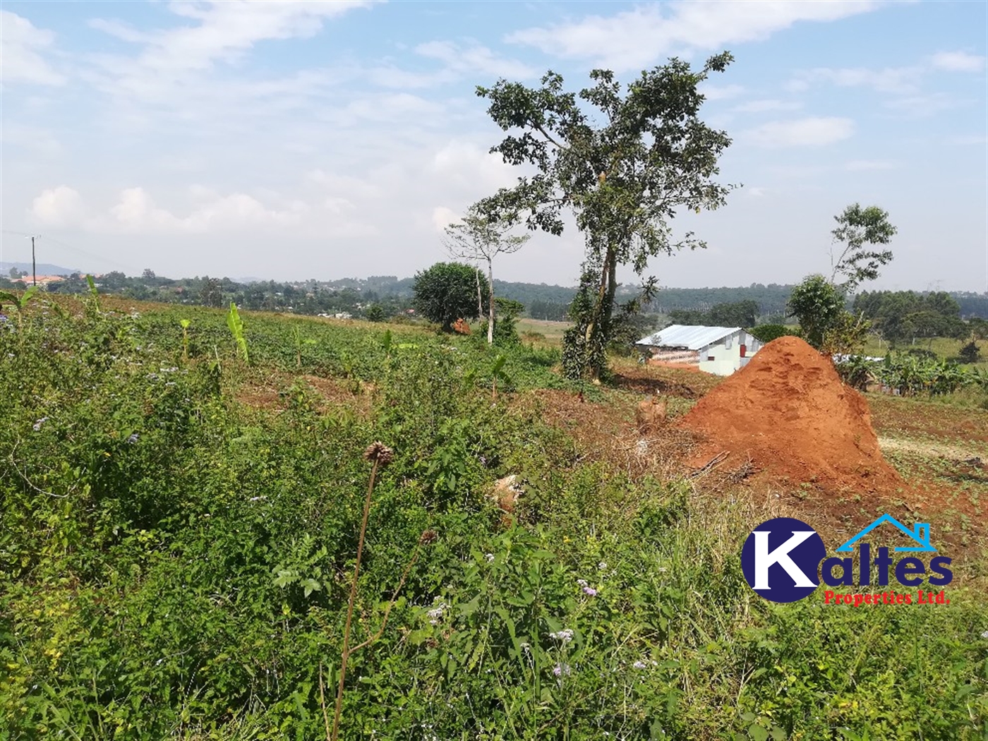 Residential Land for sale in Nakisunga Mukono