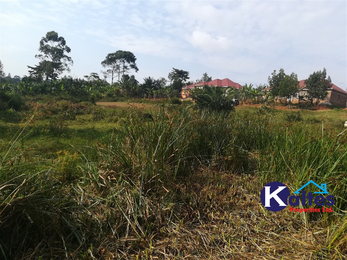 Residential Land for sale in Namayiba Mukono