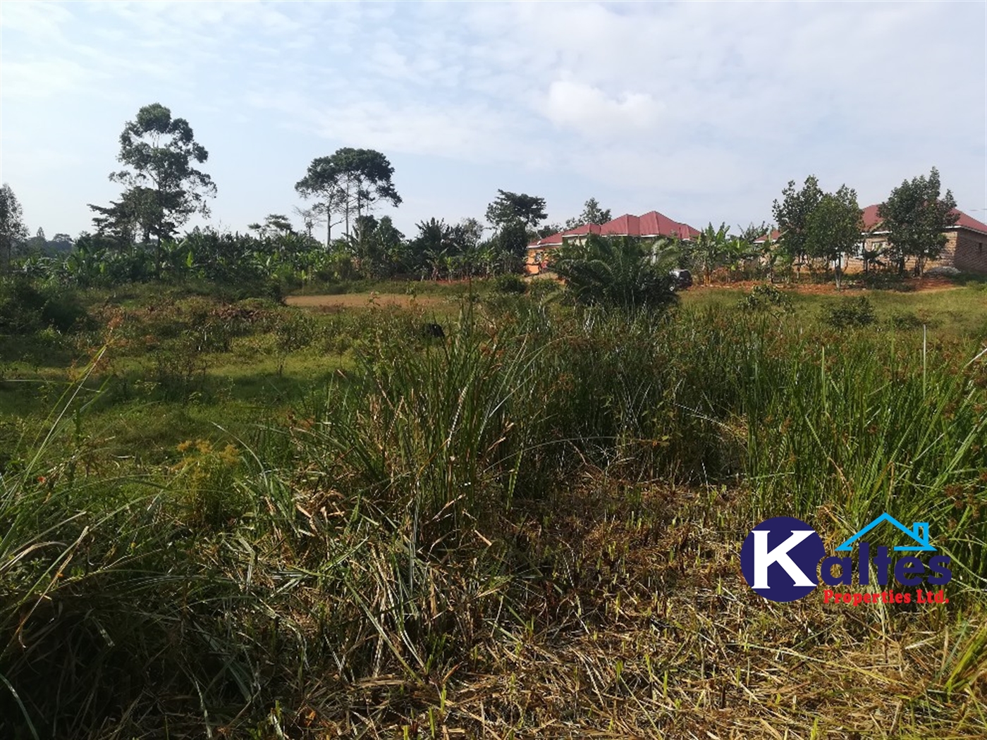 Residential Land for sale in Namayiba Mukono