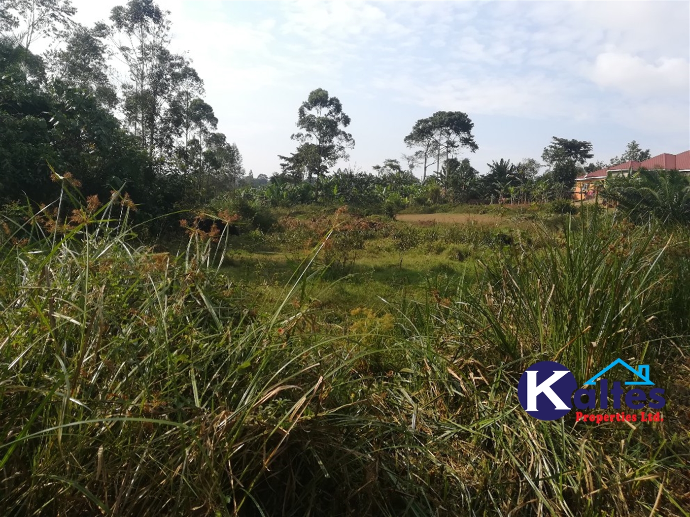 Residential Land for sale in Namayiba Mukono