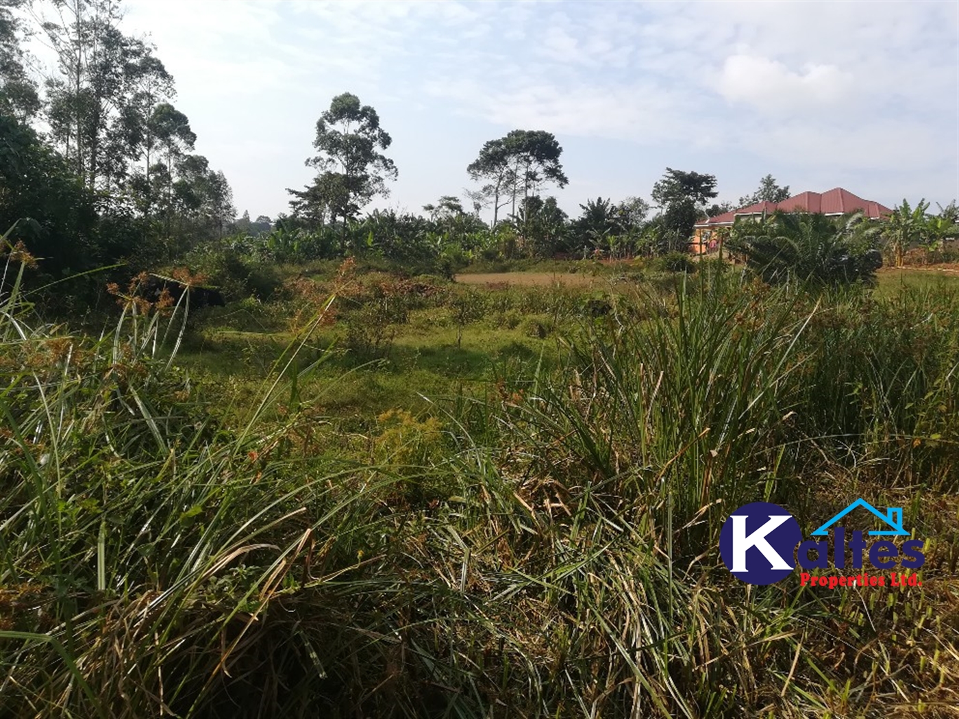 Residential Land for sale in Namayiba Mukono