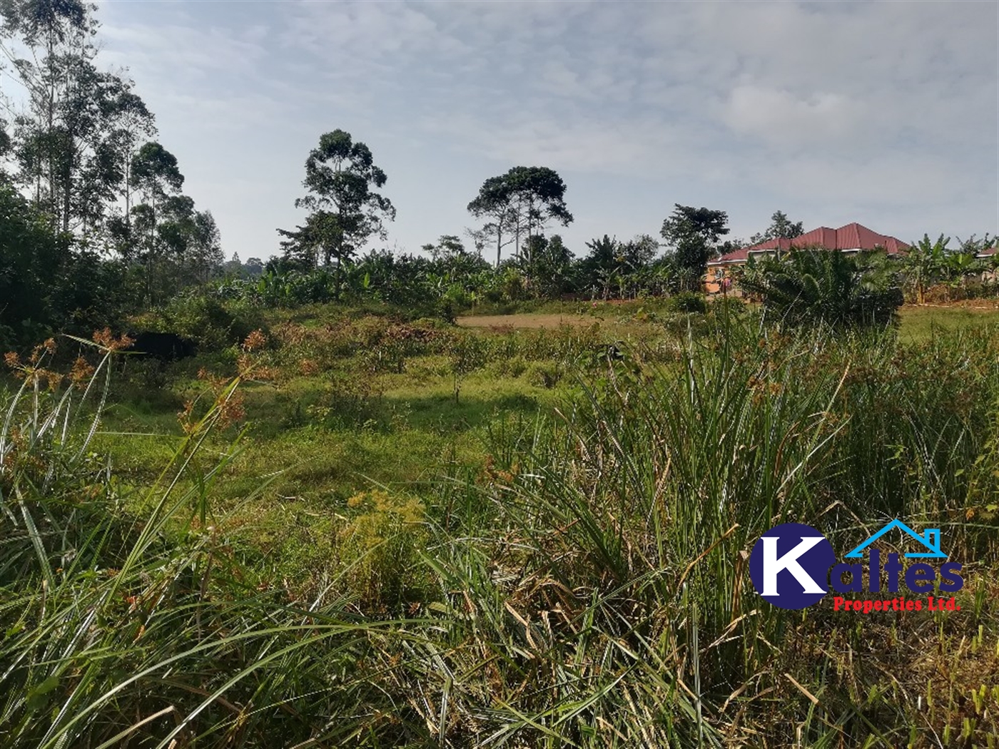 Residential Land for sale in Namayiba Mukono