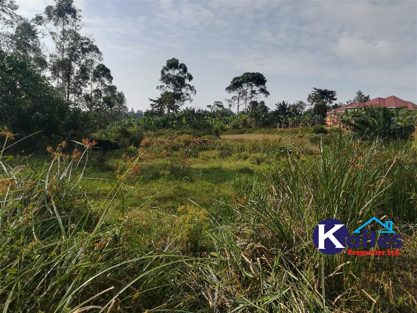 Residential Land for sale in Namayiba Mukono