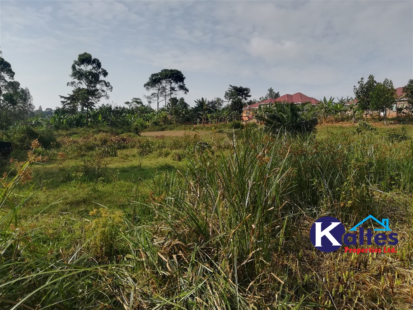 Residential Land for sale in Namayiba Mukono