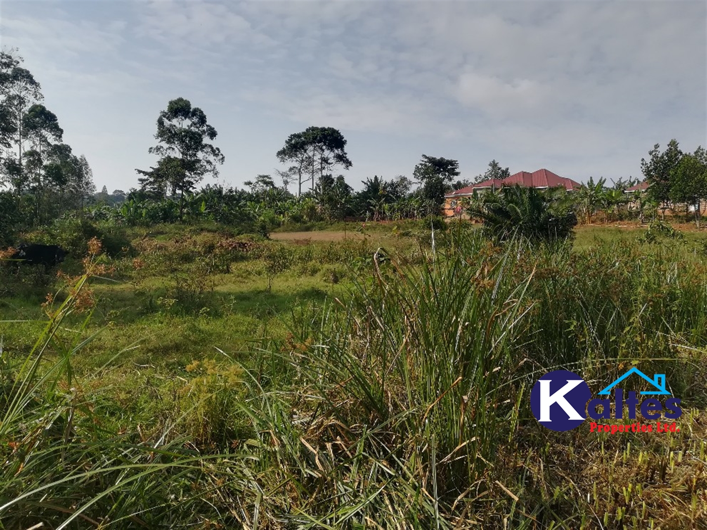 Residential Land for sale in Namayiba Mukono