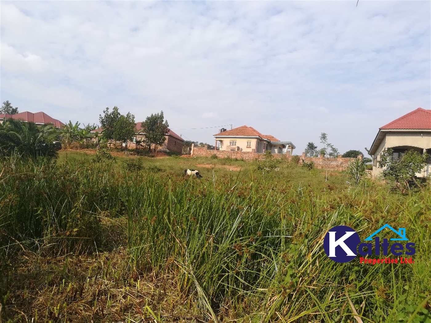 Residential Land for sale in Namayiba Mukono