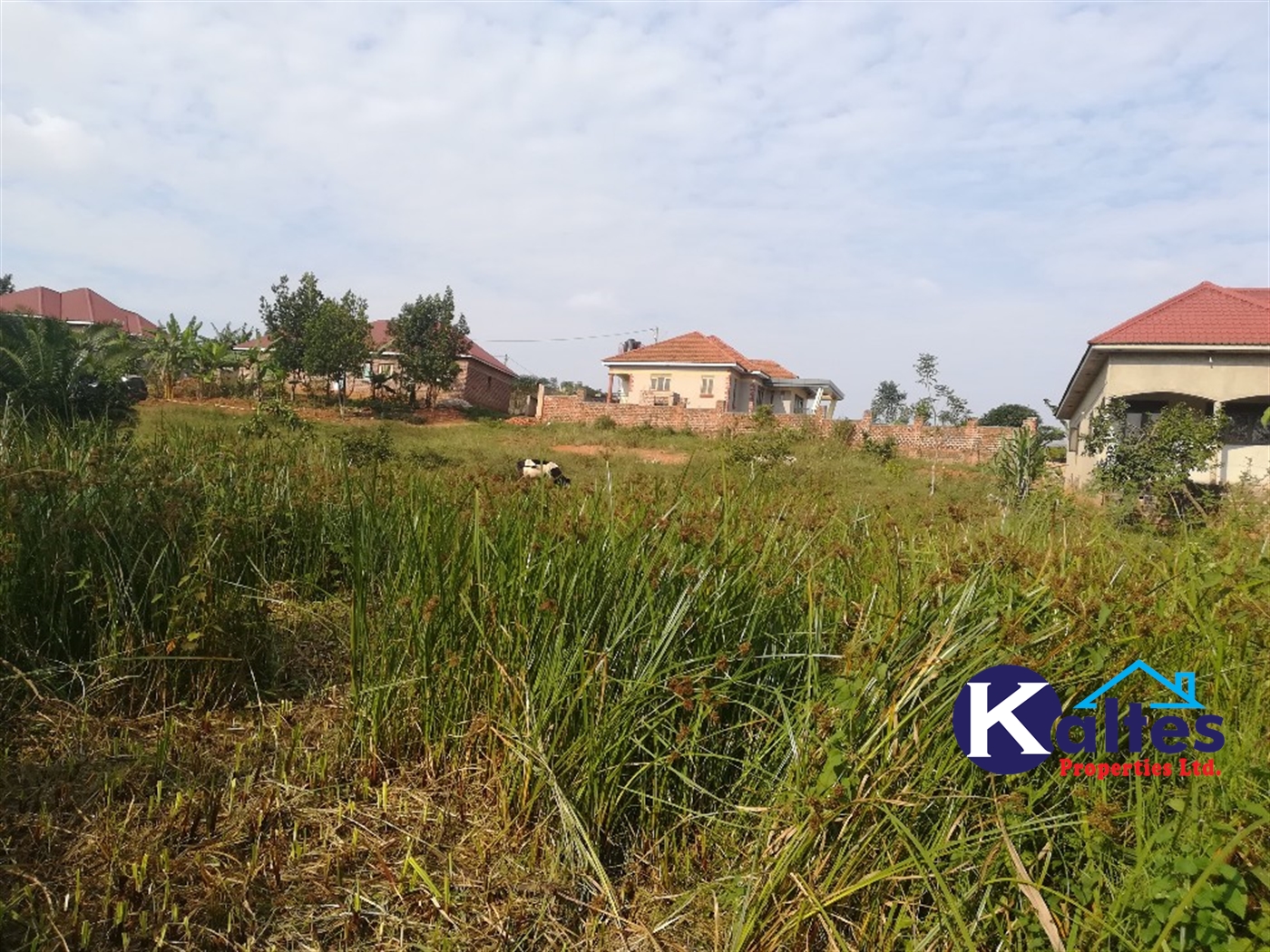 Residential Land for sale in Namayiba Mukono