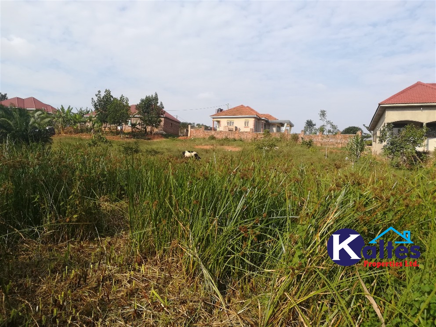 Residential Land for sale in Namayiba Mukono