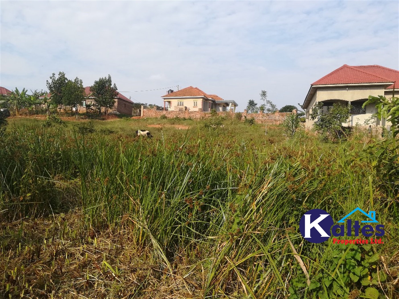 Residential Land for sale in Namayiba Mukono