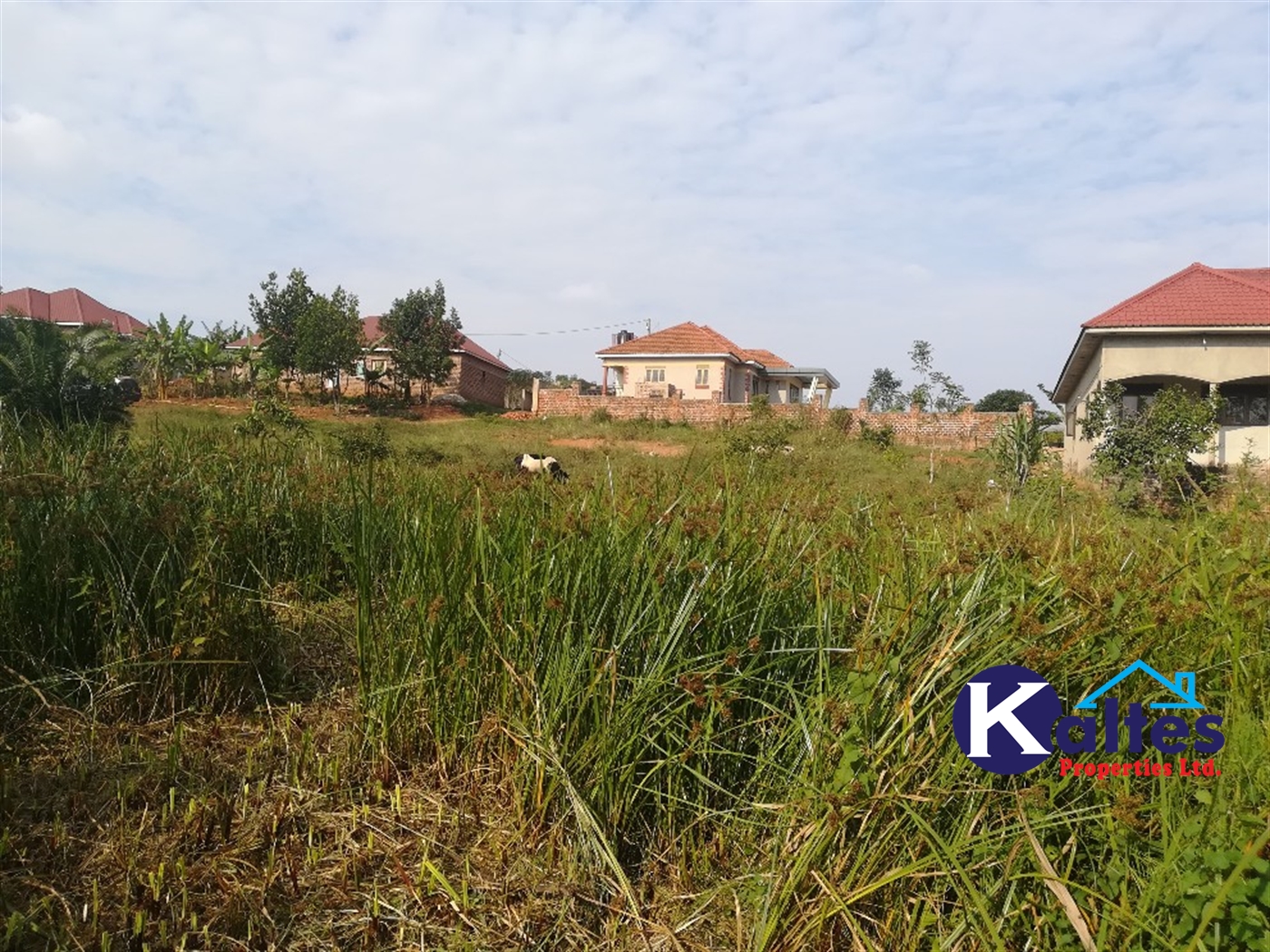 Residential Land for sale in Namayiba Mukono