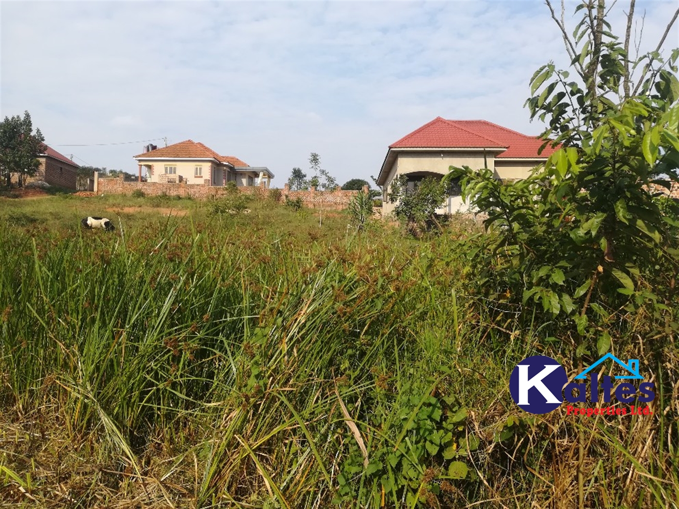 Residential Land for sale in Namayiba Mukono