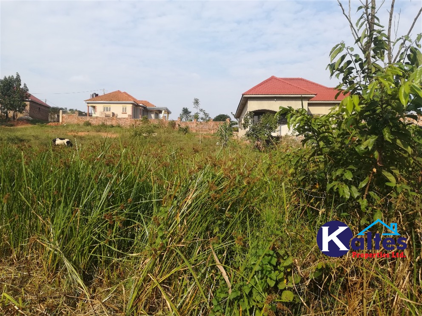 Residential Land for sale in Namayiba Mukono