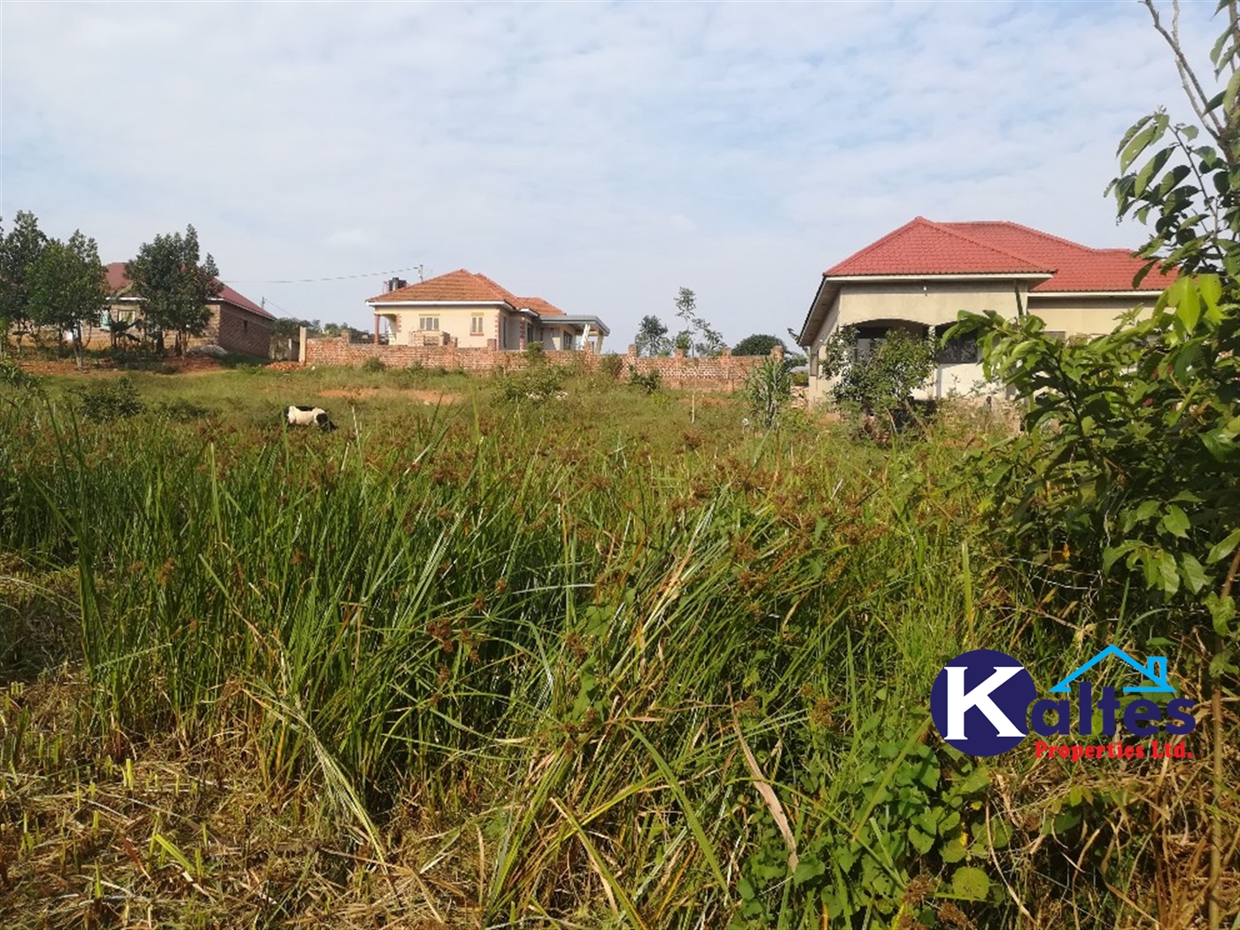 Residential Land for sale in Namayiba Mukono