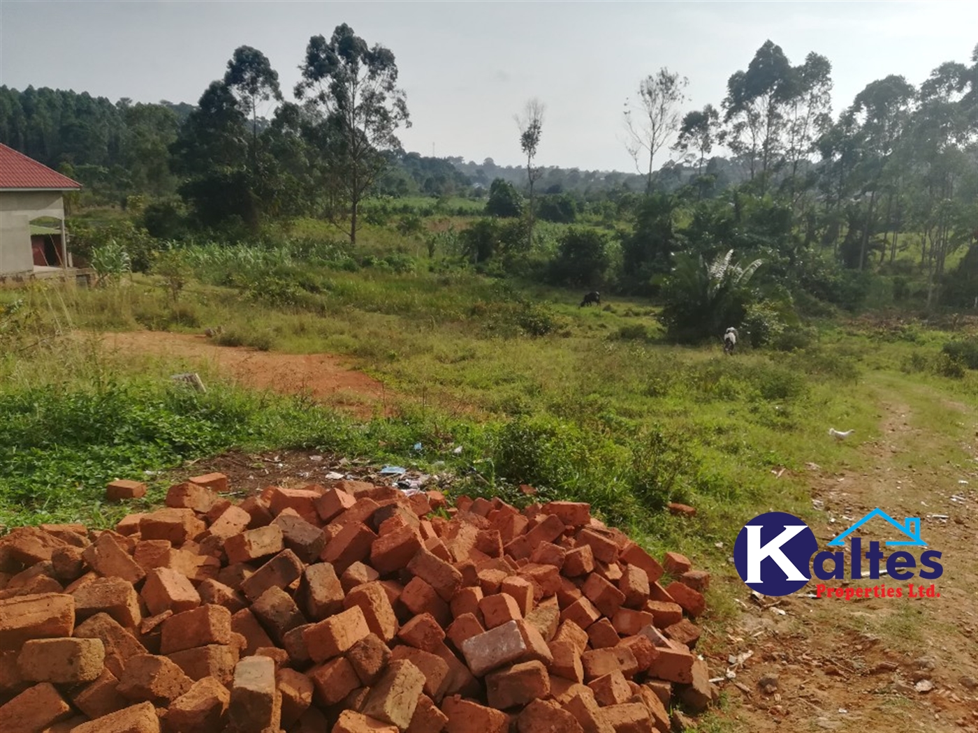 Residential Land for sale in Namayiba Mukono