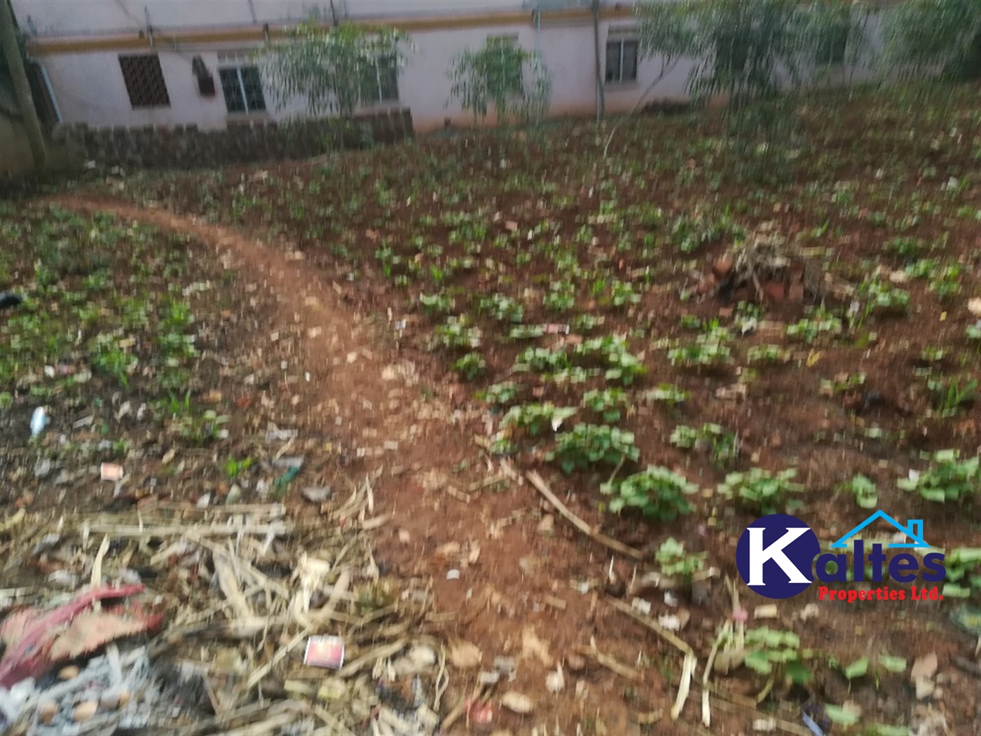 Residential Land for sale in Namayiba Mukono