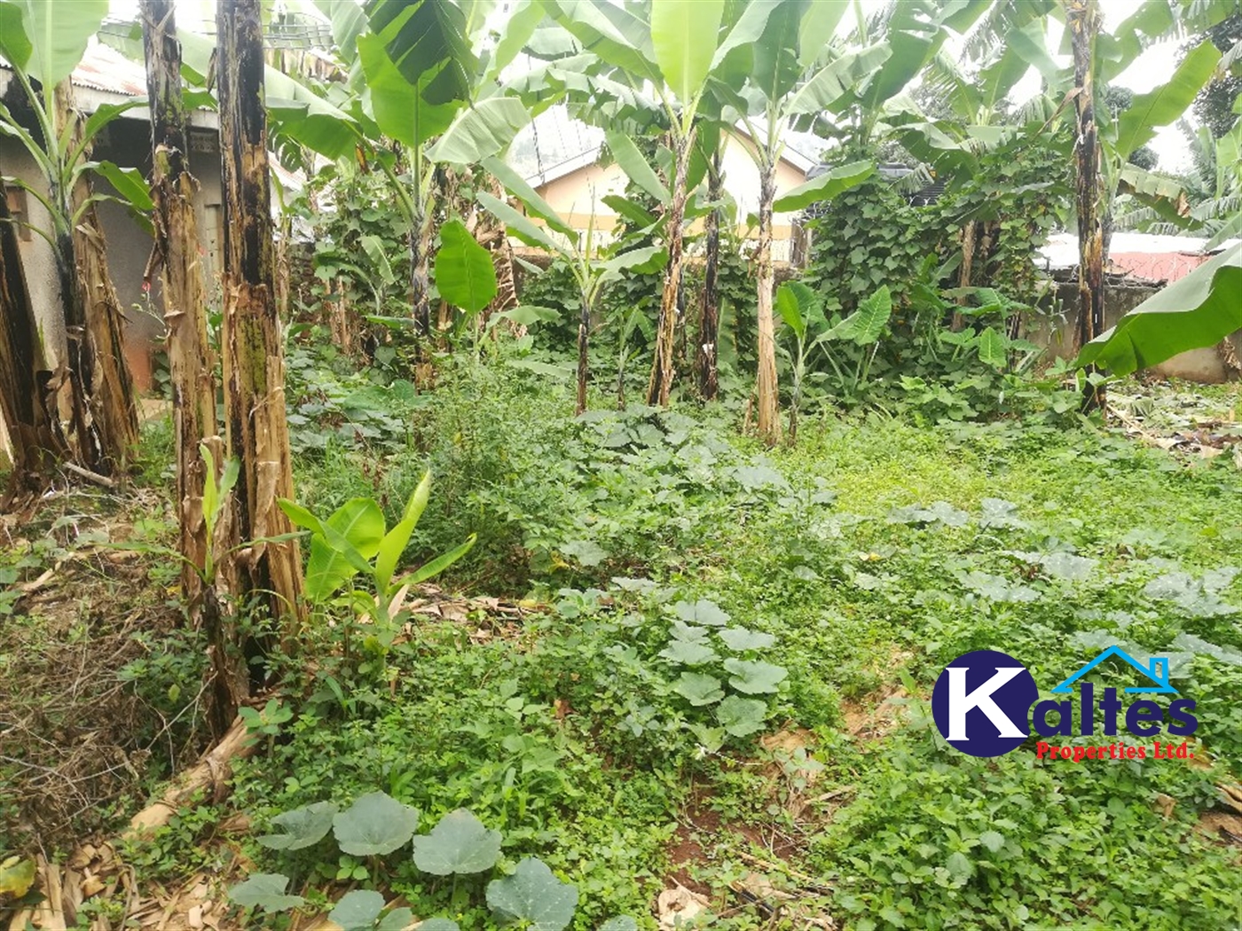 Residential Land for sale in Namayiba Mukono