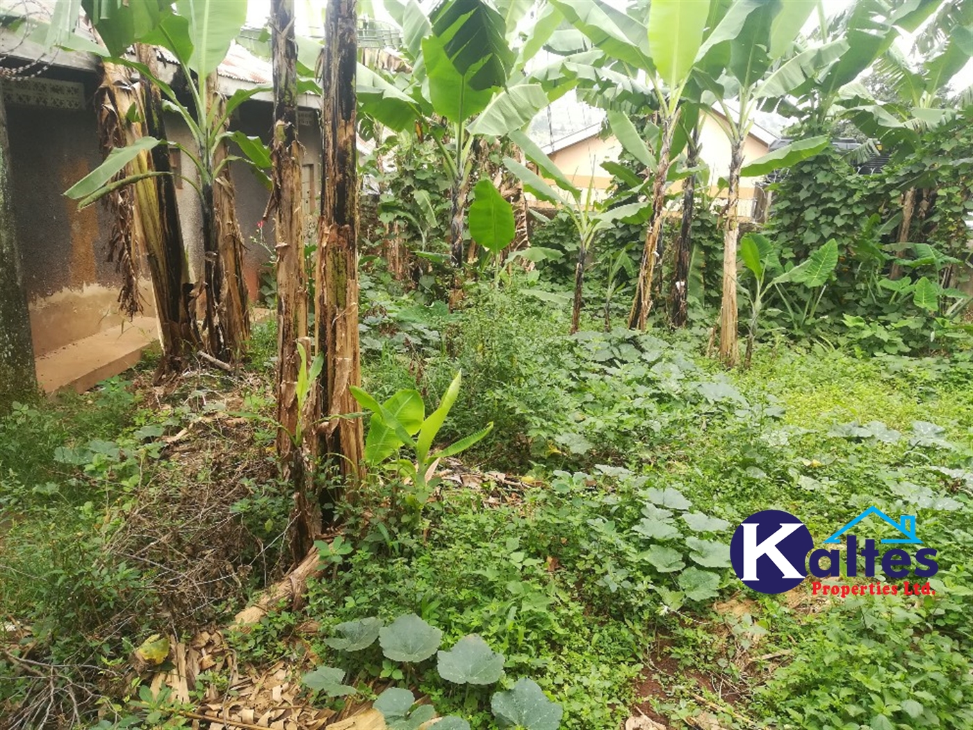 Residential Land for sale in Namayiba Mukono