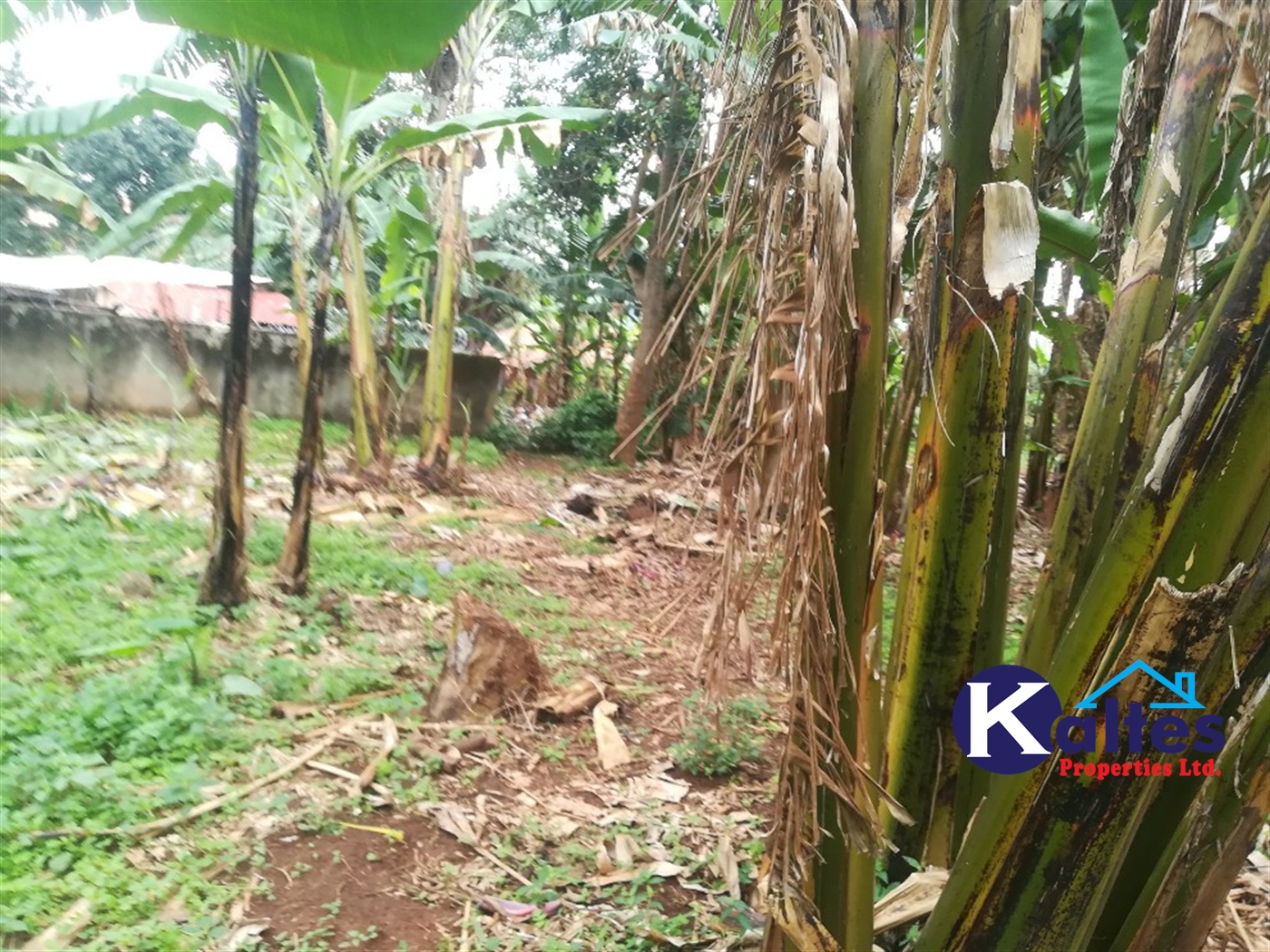 Residential Land for sale in Namayiba Mukono