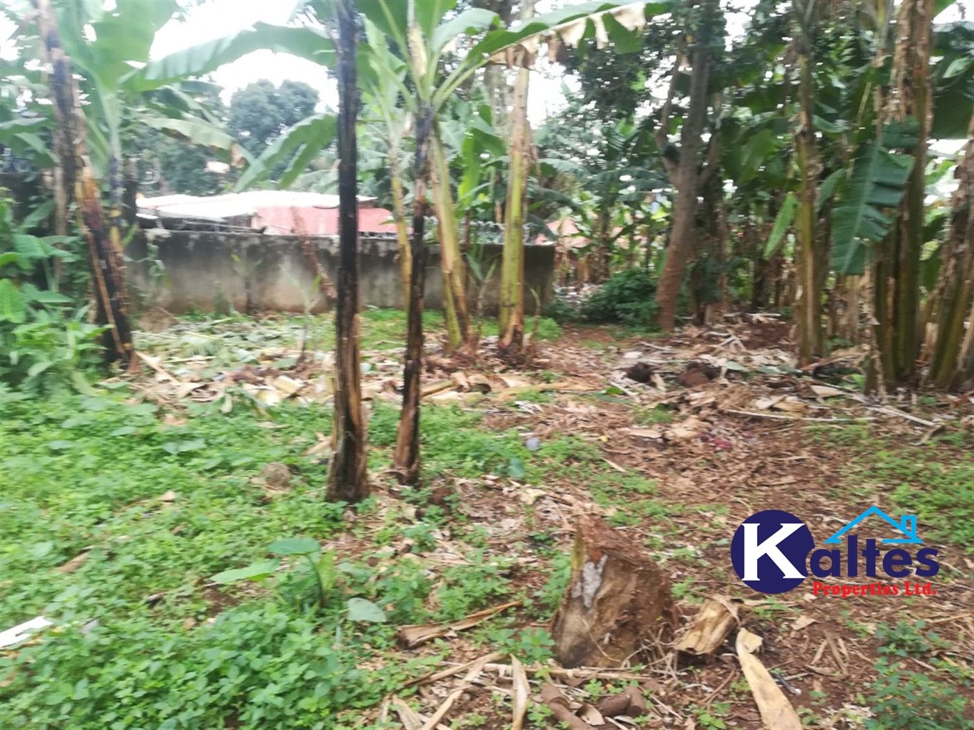 Residential Land for sale in Namayiba Mukono