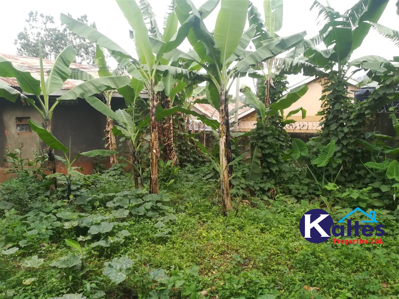 Residential Land for sale in Namayiba Mukono