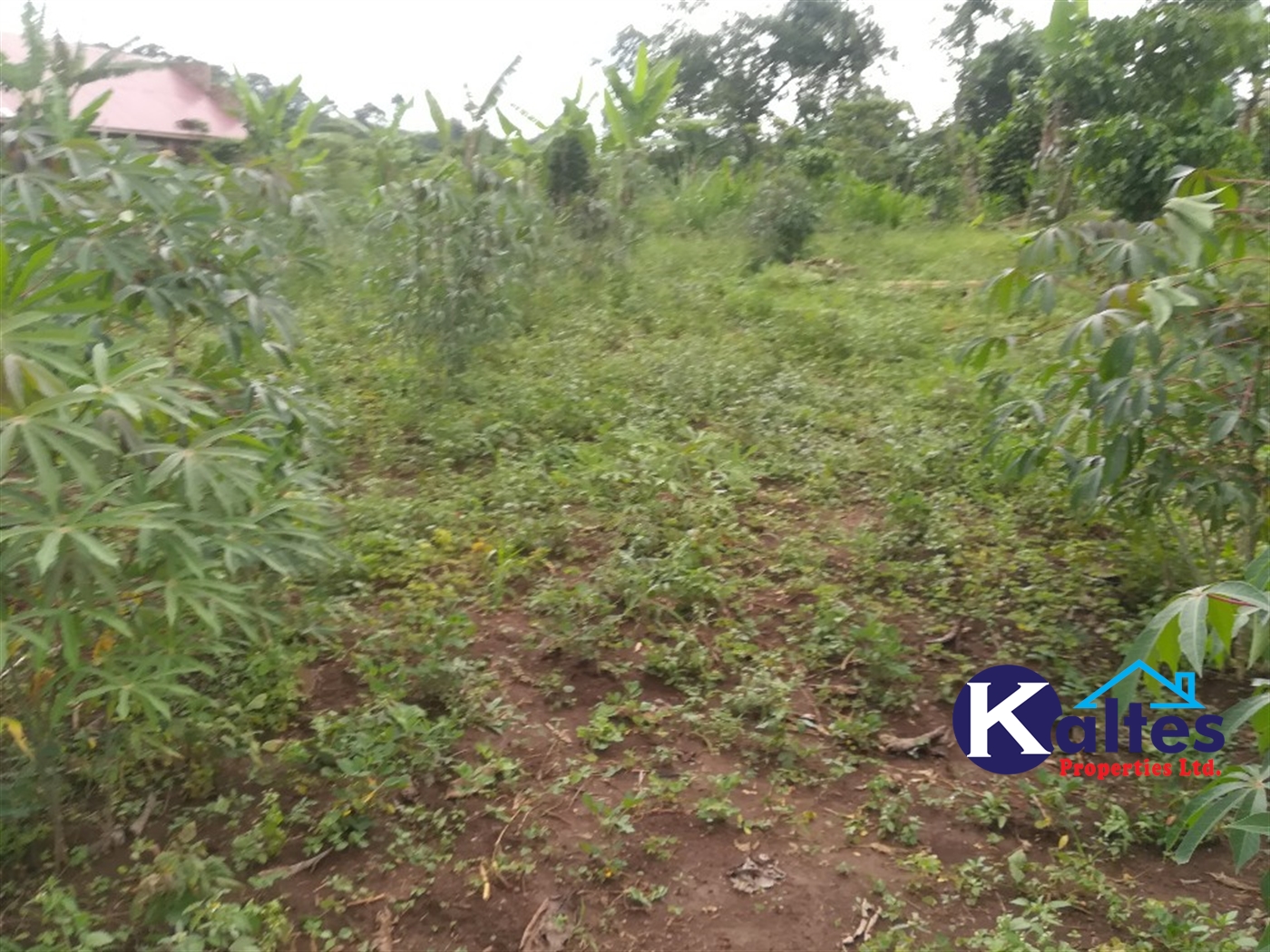 Residential Land for sale in Namayiba Mukono