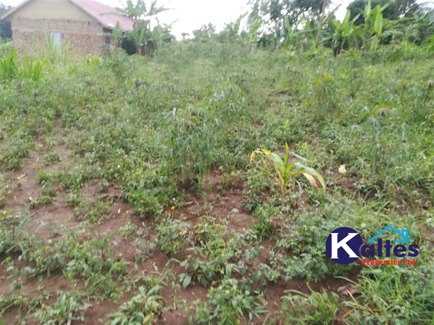 Residential Land for sale in Namayiba Mukono