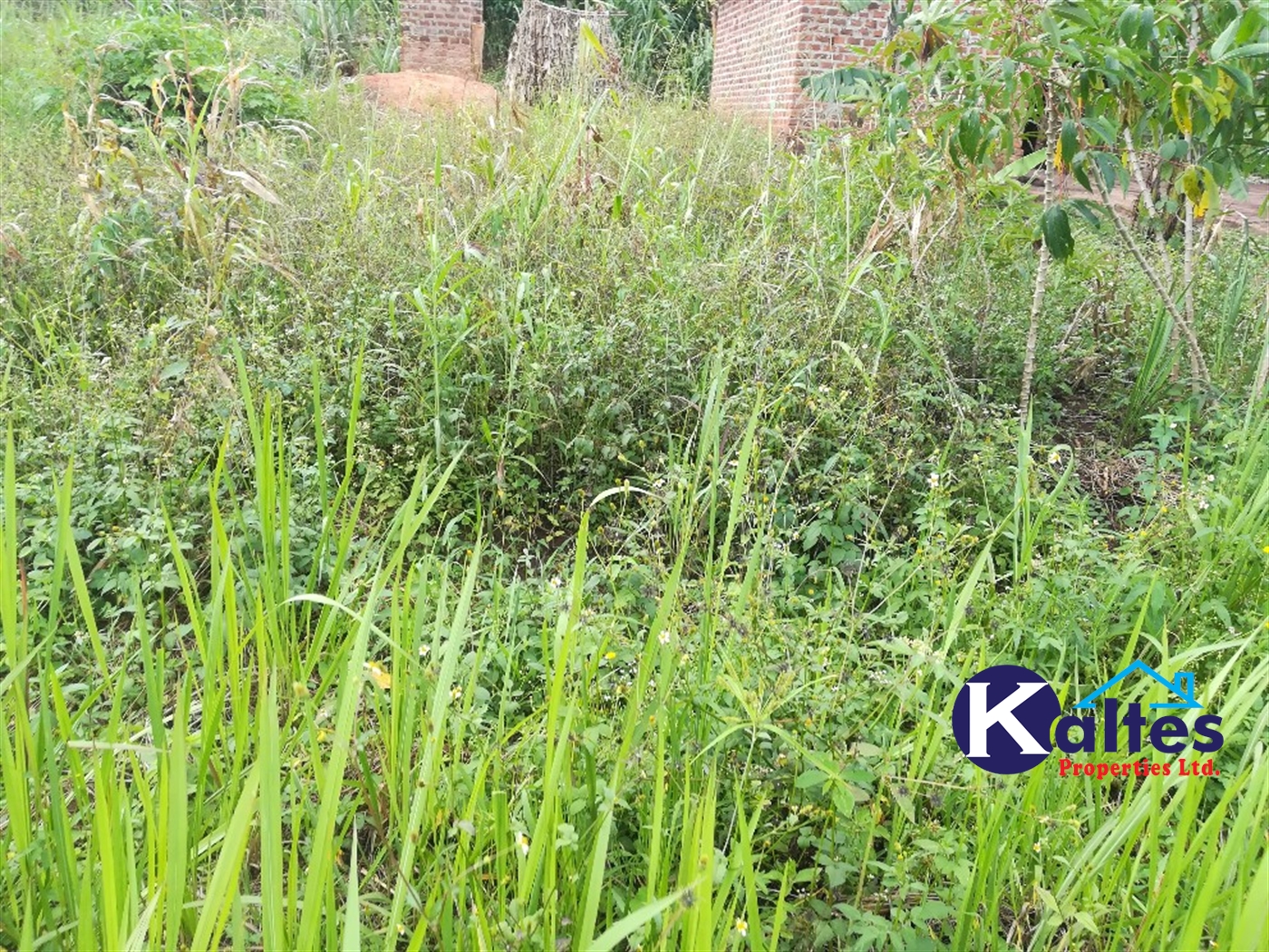 Residential Land for sale in Namayiba Mukono